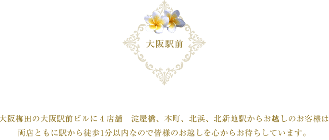 大阪駅大阪梅田の大阪駅前ビルに4店舗 淀屋橋、本町、北浜、北新地駅からお越しのお客様は両店ともに駅から徒歩1分以内なので皆様のお越しを心からお待ちしています。